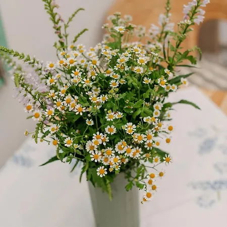 Zöldorom Verőce Casa de Férias