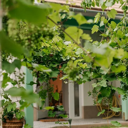 Zöldorom Verőce Casa de Férias Kismaros